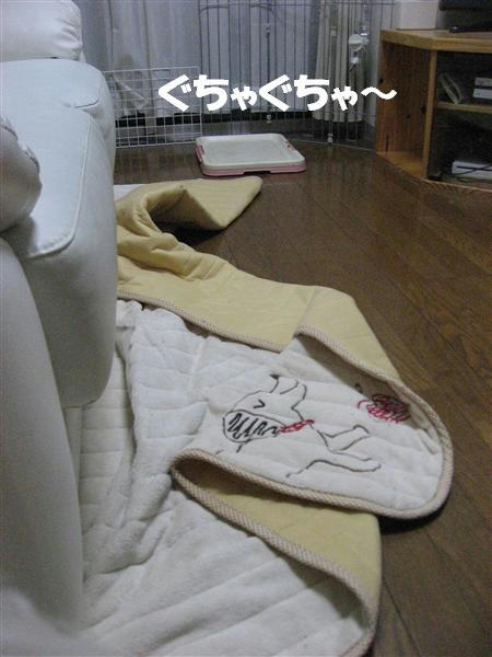 IMG_7102_R.jpg