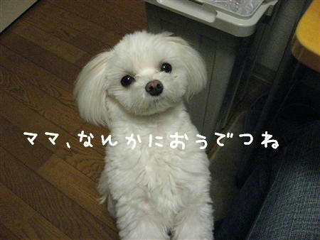 IMG_7112_R.jpg