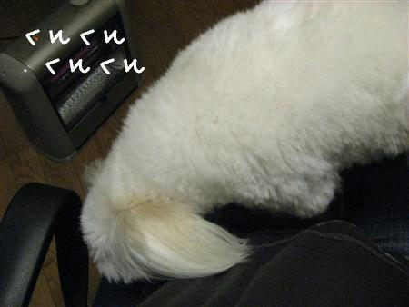 IMG_7118_R.jpg