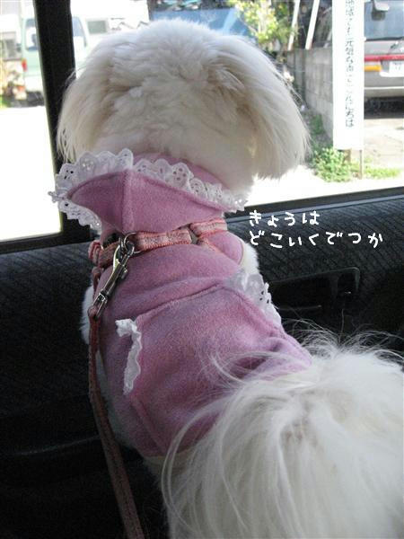 IMG_7168_R.jpg