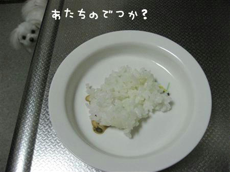 IMG_7210_R.jpg