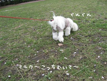 IMG_7244_R.jpg
