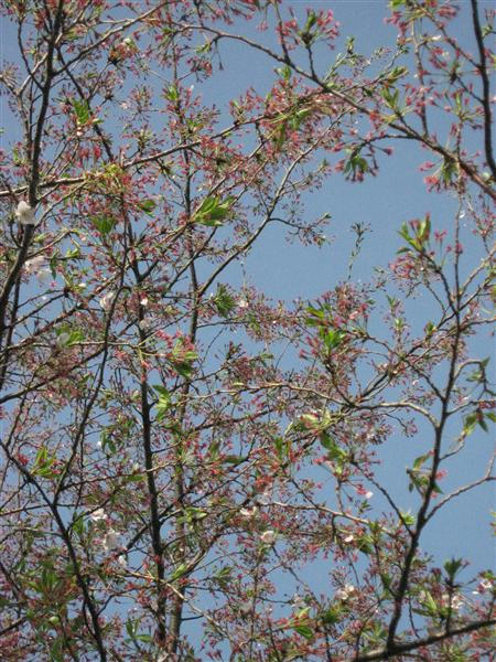 IMG_7306_R.jpg