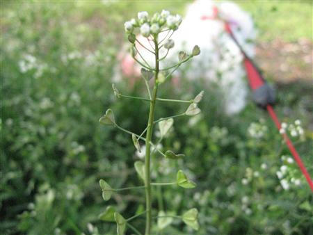 IMG_7311_R.jpg