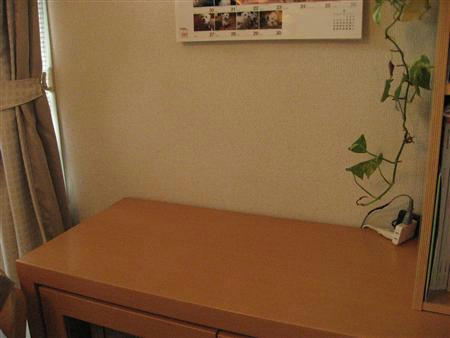 IMG_7354_R.jpg