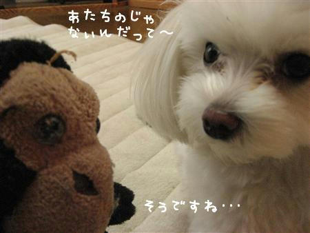 IMG_7393_R.jpg