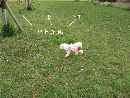 IMG_7428_R.jpg