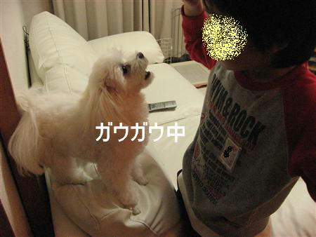 IMG_7488_R.jpg