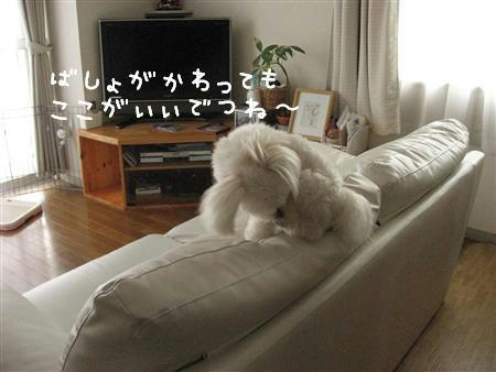 IMG_7490_R.jpg
