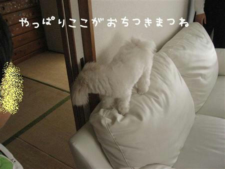 IMG_7493_R.jpg