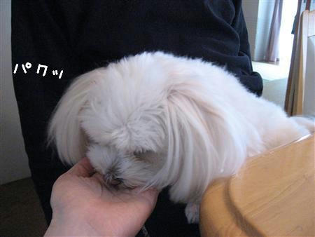 IMG_7542_R.jpg