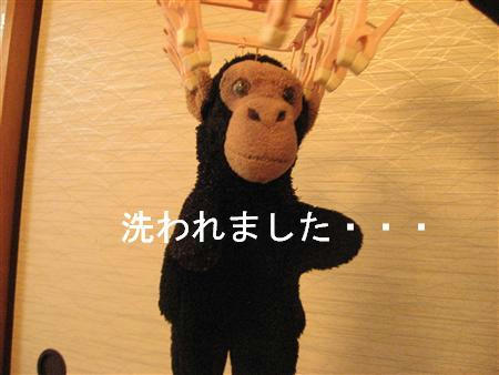 IMG_7608_R.jpg
