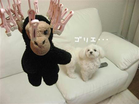 IMG_7609_R.jpg