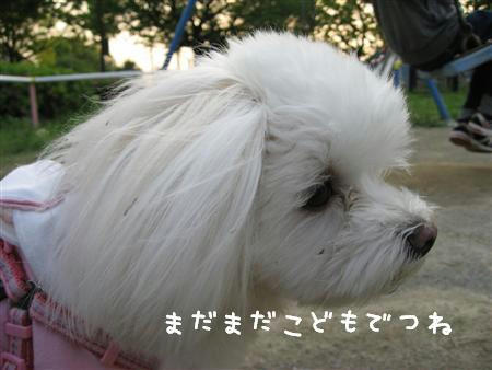 IMG_7668_R.jpg