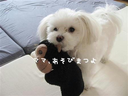 IMG_7677_R.jpg