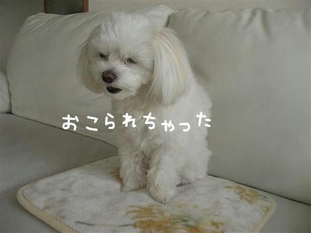 IMG_7560_R.jpg