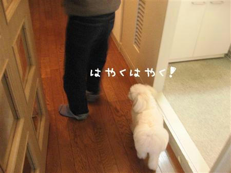 IMG_7696_R.jpg