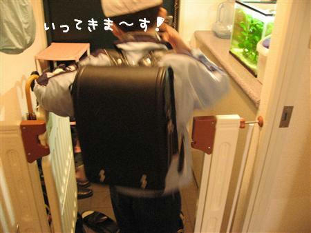 IMG_7698_R.jpg