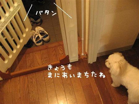 IMG_7699_R.jpg