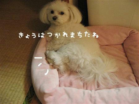 IMG_7737_R.jpg