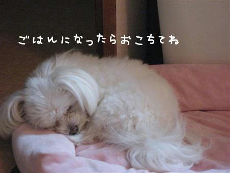 IMG_7743_R.jpg