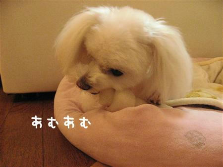IMG_7757_R.jpg