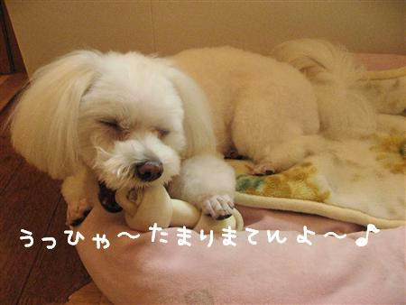 IMG_7758_R.jpg