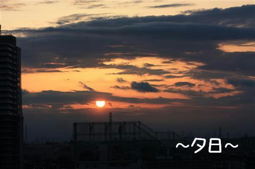 IMG_0585_R.jpg