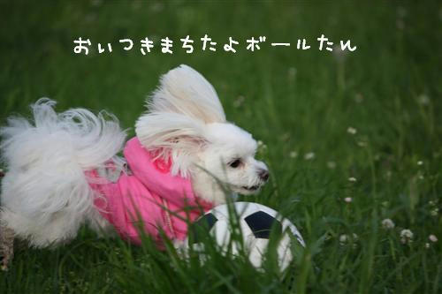 IMG_0716_R.jpg