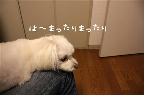 IMG_0825_R.jpg