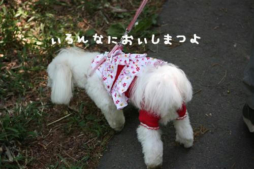 IMG_0862_R.jpg