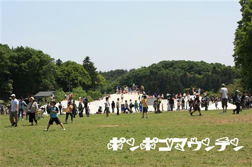 IMG_0897_R.jpg