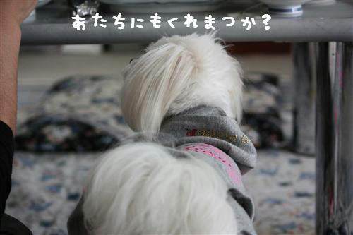 IMG_1168_R.jpg