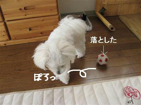 IMG_7842_R.jpg