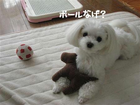 IMG_7850_R.jpg