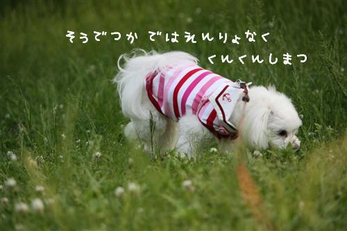 IMG_1264_R.jpg