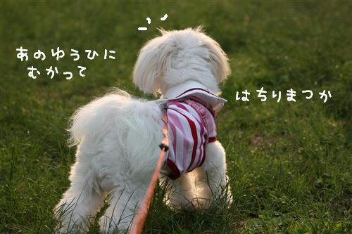 IMG_1322_R.jpg