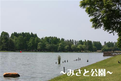 IMG_1335_R.jpg