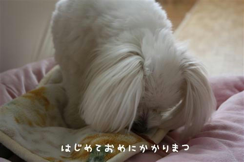 IMG_1465_R.jpg