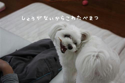IMG_1474_R.jpg