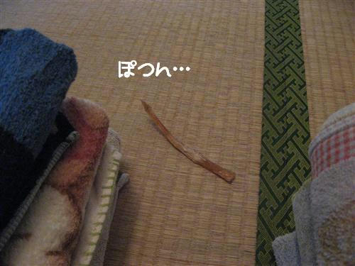 IMG_7896_R.jpg