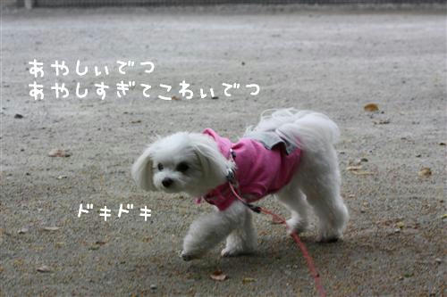 IMG_1545_R.jpg