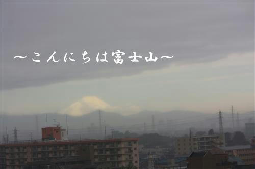 IMG_1595_R.jpg