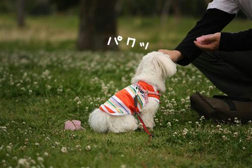 IMG_1770_R.jpg
