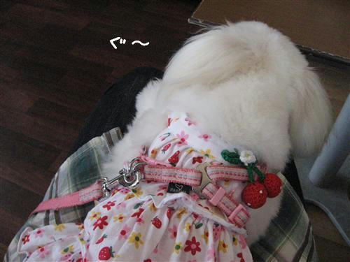 IMG_7957_R.jpg