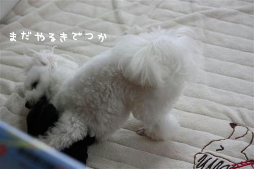 IMG_2285_R.jpg