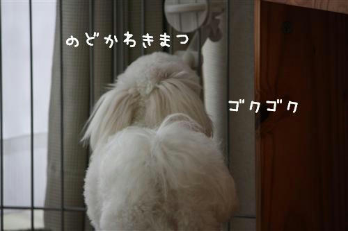 5d88249b.jpg