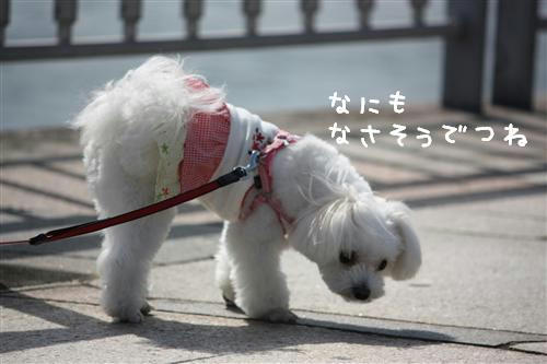 IMG_2487_R.jpg