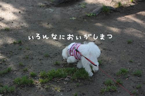 IMG_2813_R.jpg