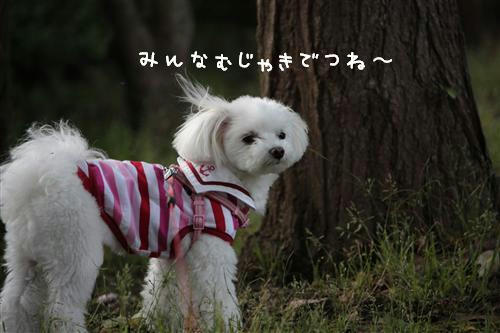 IMG_2875_R.jpg